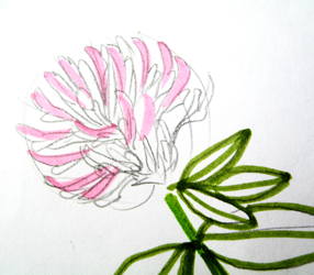Clower flower drawing