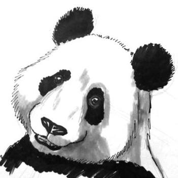 Panda face colored drawing