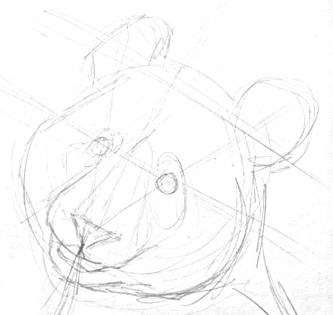 Panda head pencil sketch