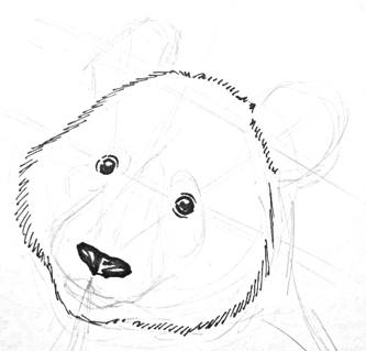 Panda eyes and nose drawing