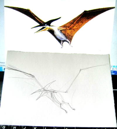 Pterodactyl drawing step by step