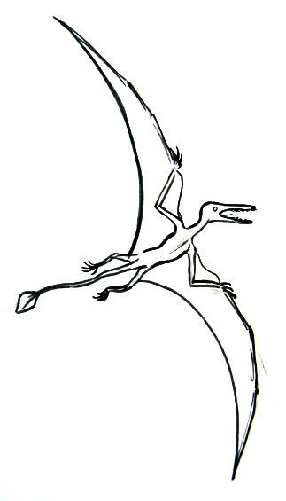 Pterodactyl (ramphorinchus) picture
