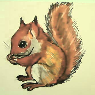 How To Draw A Cartoon Squirrel In A Few Easy Steps - Cartoon Picture Of  Squirrel Transparent PNG - 678x600 - Free Download on NicePNG