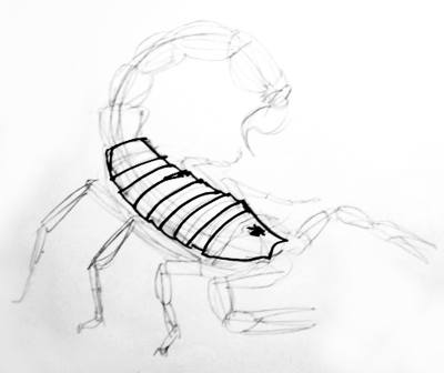 191 Scorpion Drawing Stock Photos HighRes Pictures and Images  Getty  Images